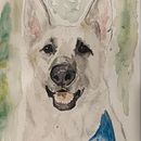 Dog Water Color Ein Projekt aus dem Bereich Aquarellmalerei von Kianna Scott - 01.06.2022