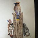 My project for course: Artistic Watercolor Techniques for Illustrating Birds. Un projet de Illustration traditionnelle, Aquarelle, Dessin réaliste et Illustration naturaliste de binx_bob - 01.06.2022
