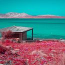 My project for course: Infrared Photography: Capture the World of the Invisible. Projekt z dziedziny Fotografia, Retuszowanie fotografii, Fotografia c, frowa,  Fotografia plenerowa, Fotografia architektur i Teoria barw użytkownika Silvia Napolitano - 05.06.2022
