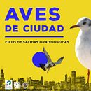 SEO-Alectoris. Collage, Graphic Design, and Poster Design project by Montse Soria - 01.01.2022