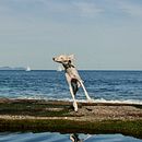 Mi proyecto del curso: Introducción a la fotografía digital. Un proyecto de Fotografía y Fotografía digital de mjandrea - 10.04.2022