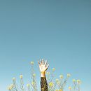 Portafolio final de carrera. Un progetto di  di Andrea Arias - 13.03.2022