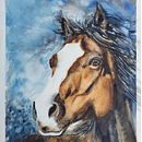Horse portrait - Mon projet du cours : Portraits expressifs d'animaux à l'aquarelle. Un projet de Illustration traditionnelle, Aquarelle, Dessin réaliste et Illustration naturaliste de Oliwia - 07.06.2022
