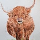 Highland Cow.....I like the way she moooooo..ves Ein Projekt aus dem Bereich Traditionelle Illustration, Aquarellmalerei und Naturalistische Illustration von crysella - 07.06.2022