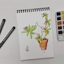 Mi proyecto del curso: Sketchbook botánico: una aproximación meditativa. Traditional illustration, Sketching, Drawing, Watercolor Painting, Botanical Illustration, and Sketchbook project by Leonardo Meza - 06.07.2022