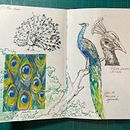 My project for course: Daily Sketching for Creative Inspiration. Traditional illustration, Sketching, Creativit, Drawing, and Sketchbook project by blanchedraws - 06.09.2022