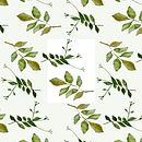 Mi proyecto del curso: Creación de patrones botánicos a partir de un dibujo. Een project van Digitale illustratie,  Botanische illustratie y Digitale tekening van Selva Acuña - 10.06.2022