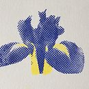 My project for course: Manual Printing for Photopolymer Stamps. Un proyecto de Artesanía, Bellas Artes, Serigrafía, Estampación, Grabado y Estampación textil de Dom Ban - 11.06.2022