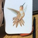 Olhar da onça pintada e voo do beija Flor em aquarela  Ein Projekt aus dem Bereich Traditionelle Illustration, Aquarellmalerei, Realistische Zeichnung und Naturalistische Illustration von Halan Medeiros - 01.06.2022