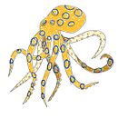 DOM_pulpo_anillos_azules. Ilustração tradicional, Design gráfico, Pintura, Arte urbana, Ilustração vetorial, Esboçado, Criatividade, e Desenho projeto de DOMCHOC - 12.06.2022