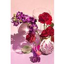 Retro Flower Therapy . Product Photograph, Fine-Art Photograph, Lifest, and le Photograph project by nicowilliamsdesign - 06.08.2022