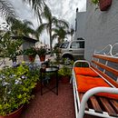 Mi proyecto del curso: Diseño de espacios verdes para tu casa Ein Projekt aus dem Bereich L, schaftsbau, Blumen- und Pflanzendesign und Raumgestaltung von Enrique Ochoa Vazquez - 10.06.2022