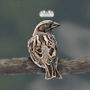 Sparrow Queen. Een project van Traditionele illustratie van Amber Adendorff - 13.06.2022