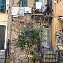 Meu projeto do curso: Ilustração digital cinematográfica com Photoshop. Ilustração tradicional, Ilustração digital, e Concept Art projeto de Patrícia Narciso - 13.06.2022