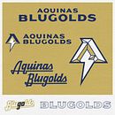 My project for course: Principles of Presentation Design . Manajemen Desain, Desain Grafis, Pemasaran, Komunikasi, Dan Desain Presentasi proyek oleh Todd Weber - 06.14.2022