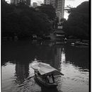 Capibaribe. Photograph project by Hugo Vasconcelos - 06.15.2022