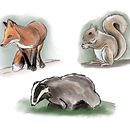 Dynamic animal illustration for Children's stories Ein Projekt aus dem Bereich Traditionelle Illustration von Zoe Jones - 15.06.2022