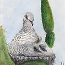 Sem título . Ilustrație tradițională, Pictură în acuarelă, Desen realist & Ilustrație naturalistă de Jose Humberto Leandro Cordeiro - 06.15.2022