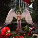 Vanity Teen: Angels Among Us. Un proyecto de Fotografía, Bellas Artes, Diseño de moda, Fotografía de moda e Ilustración digital de Jvdas Berra - 17.06.2022