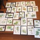 My project for course: Introduction to Tattooing. Traditional illustration, Tattoo Design, and Botanical Illustration project by chiang0104 - 06.19.2022