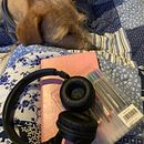 Mi proyecto del curso: Gimnasio de escritura: de la hoja en blanco a la práctica cotidiana . Scriere, Creativitate, Stor, telling, Narrativ și Scriere creativă de Diana Carolina Poveda Hernández - 06.20.2022