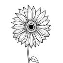 Sunflower. Un proyecto de Diseño de tatuajes de Rebecca Tedeschini - 20.06.2022