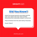 Drishti CUET. Un progetto di Design di Amit Bisht - 01.05.2022