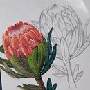 Mi proyecto del curso: Introducción a la pintura con plastilina. Artesanato, Artes plásticas, Pintura, e Criatividade para crianças projeto de Maria Paula Herrera Romero - 20.06.2022