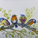 My project for course: Artistic Watercolor Techniques for Illustrating Birds. Traditional illustration, Watercolor Painting, Realistic Drawing, Naturalistic Illustration, and Advertising project by Pennie Cormier - 06.12.2022