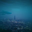 Santiago en un acuario. Photograph, Post-production, Photo Retouching, Digital Photograph, and Fine-Art Photograph project by Nicole Marchant Anguita - 06.21.2022