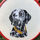 Mein Kursprojekt: Gestickte Tierporträts: Die Technik der Nadelmalerei . Broderie, Ilustrație naturalistă și Design textil de Hong Wei - 06.21.2022