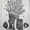 Pez payaso anémona. Ilustração tradicional, Desenho a lápis, Desenho, Desenho realista, Desenho artístico e Ilustração com tinta projeto de Javier Ramírez Ordóñez - 22.06.2022