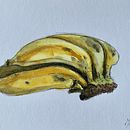 Meu projeto do curso: Técnicas aplicadas de ilustração em aquarela. Un proyecto de Ilustración tradicional, Bellas Artes, Pintura y Pintura a la acuarela de marciocop07 - 23.06.2022