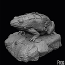 Frog . % Cristian Alfonso tarafından hazırlanan Geleneksel illüstras, on, Ve 3D Modelleme projesi - 06.24.2022