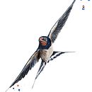 My project for course: Artistic Watercolor Techniques for Illustrating Birds . % István Pospíšil tarafından hazırlanan Geleneksel illüstras, on, Sulubo, a Resim, Gerçekçi Çizim, Doğalcı İllüstras, Ve on projesi - 06.25.2022
