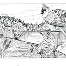 My project for course: Dip Pen and Ink Illustration: Capturing The Natural World. Sketching, Drawing, Artistic Drawing, Sketchbook, Ink Illustration, and Naturalistic Illustration project by loraxman - 06.25.2022