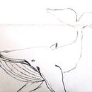 Whale . Pencil Drawing, and Drawing project by Ilaria Martorelli - 06.26.2022
