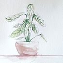 Planta. Pintura em aquarela projeto de julio_mmolero - 26.06.2022