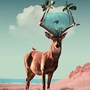 Mi proyecto del curso. Un progetto di Fotografia, Collage, Ritocco fotografico, Illustrazione digitale, Composizione fotografica e Fotomontaggio di Jesus Perez Lopez - 26.06.2022