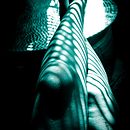 My project for course: Intimate Photography Portraits Ein Projekt aus dem Bereich Fotografie, Porträtfotografie, Beleuchtung für Fotografie, Artistische Fotografie und Interieurfotografie von Claire Edwards - 27.06.2022