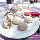 Mariscos de Chile. Un proyecto de Fotografía, Food St y ling				 de Juan Carlos Barroux Rojas - 26.06.2022