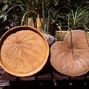 Terra e Cimento. Un projet de Céramique de Rose Oliveira - 29.06.2022