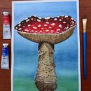 MUSHROOM. Un proyecto de Ilustración tradicional, Pintura a la acuarela, Ilustración naturalista				 y Pintura de Beatriz Silvestre - 28.10.2021