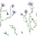 Mi proyecto del curso: Ilustración y diseño de patrones florales. Traditional illustration, Painting, Pattern Design, Drawing, and Botanical Illustration project by Caroline Luechau - 07.01.2022