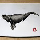 My project for course: Naturalist Illustration Techniques: Whales in Watercolor. Traditional illustration, Poster Design, Digital Illustration, and Manga project by astridcoxon - 07.03.2022
