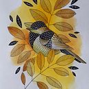 Birds from my sketchbook . % Magdalena Nawrocka tarafından hazırlanan Geleneksel illüstras, on, Ve Çizim projesi - 07.03.2022