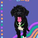 Pets . Een project van Traditionele illustratie, Kinderillustratie, Ontwerp van personages,  Creativiteit y Digitale illustratie van Mica Donati - 18.07.2021