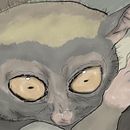 Pygmy Tarsier. Un proyecto de Ilustración tradicional, Ilustración digital, Dibujo digital y Pintura digital de alan_894685 - 10.09.2012