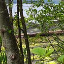 A Day in Ketchikan, Alaska. Een project van Fotografie, Buitenfotografie, Fotografie voor Instagram,  Documentairefotografie y Fotografische compositie van kris_hill10 - 05.07.2022