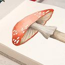 Mi proyecto del curso: Cuaderno botánico en acuarela. Traditional illustration, Watercolor Painting, Botanical Illustration, and Sketchbook project by Klau MT - 06.30.2022